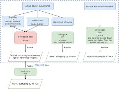 Risk factors for avian influenza in Danish poultry and wild birds during the epidemic from June 2020 to May 2021